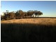 “Brawboy” Gibbergunyah Rd, Scone NSW 2337