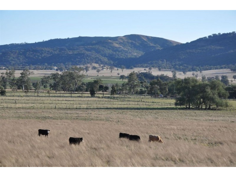 718 Bunnan Rd, Scone NSW 2337
