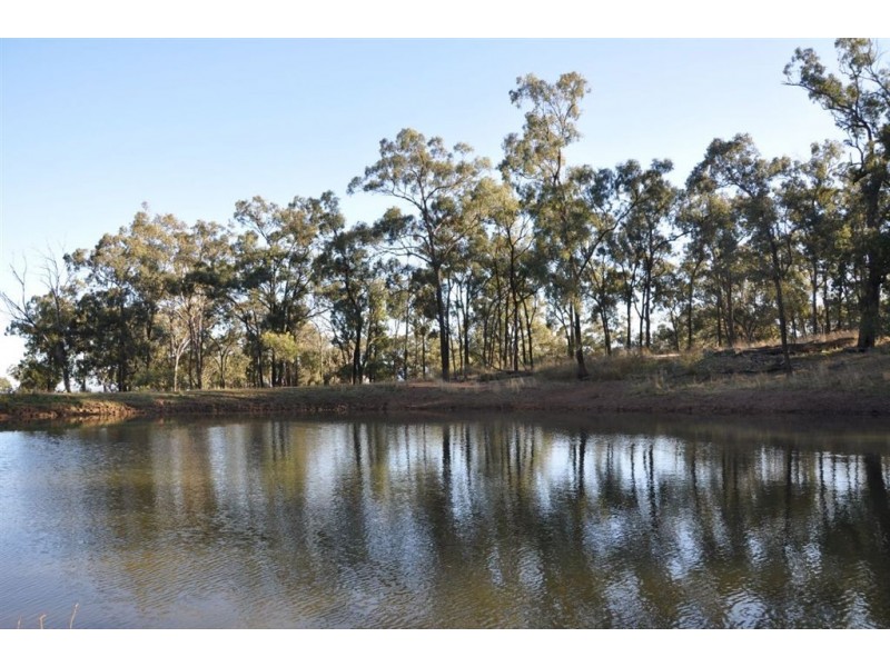 718 Bunnan Rd, Scone NSW 2337