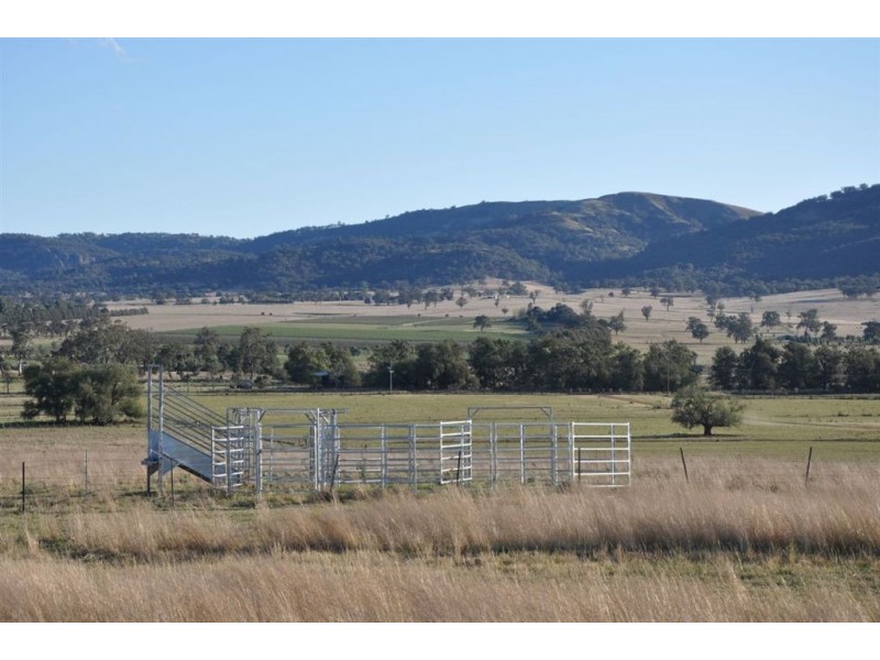 718 Bunnan Rd, Scone NSW 2337