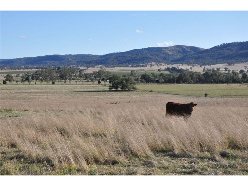 718 Bunnan Rd, Scone NSW 2337