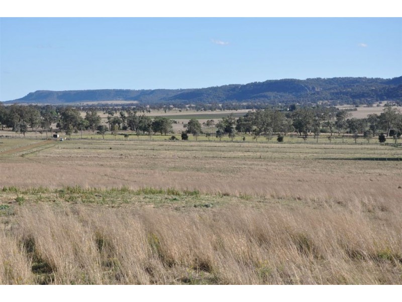 718 Bunnan Rd, Scone NSW 2337