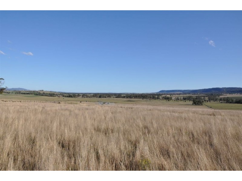 718 Bunnan Rd, Scone NSW 2337