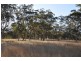 718 Bunnan Rd, Scone NSW 2337