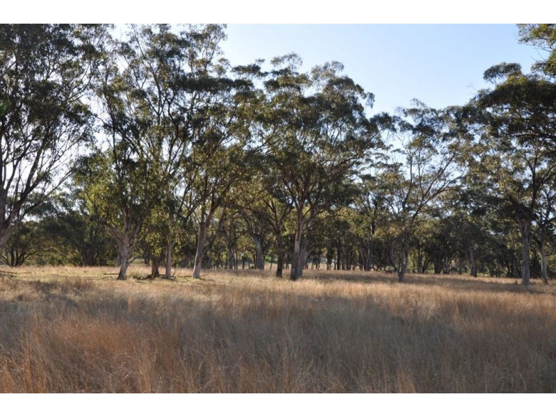 718 Bunnan Rd, Scone NSW 2337