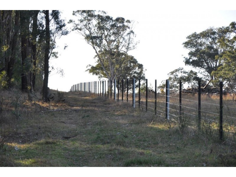 718 Bunnan Rd, Scone NSW 2337