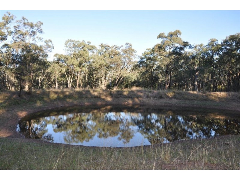 718 Bunnan Rd, Scone NSW 2337