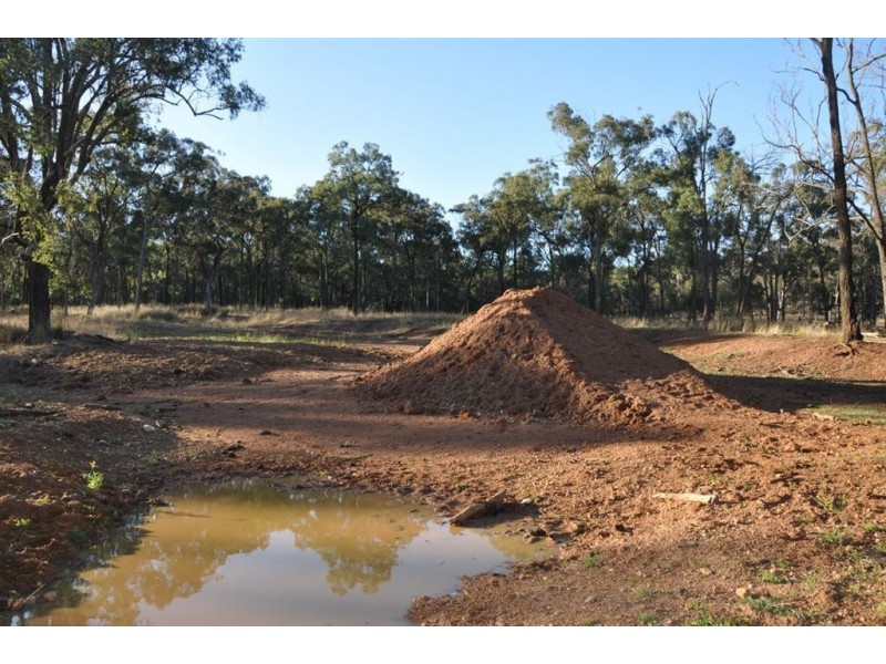 718 Bunnan Rd, Scone NSW 2337