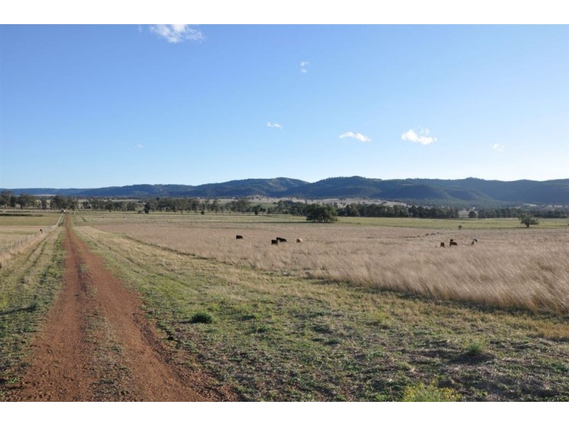 718 Bunnan Rd, Scone NSW 2337