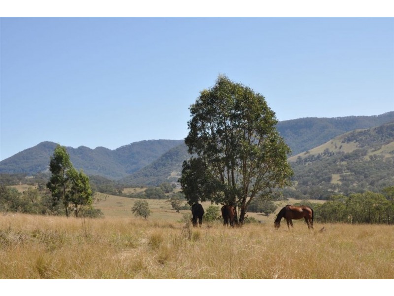 Lot 11 Middlebrook Rd, Scone NSW 2337