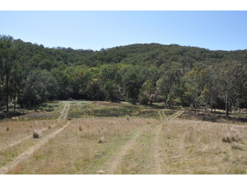 Lot 11 Middlebrook Rd, Scone NSW 2337