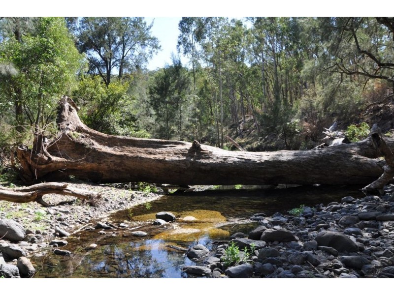 Lot 11 Middlebrook Rd, Scone NSW 2337