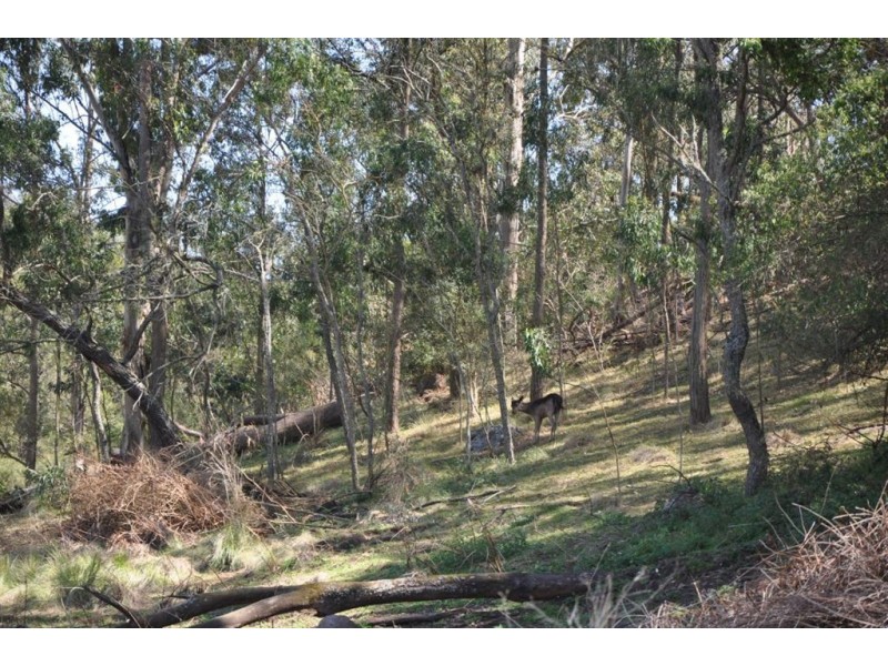 Lot 11 Middlebrook Rd, Scone NSW 2337