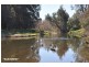. Hunter River Property Aggregation, Rouchel Rd, Aberdeen NSW 2336