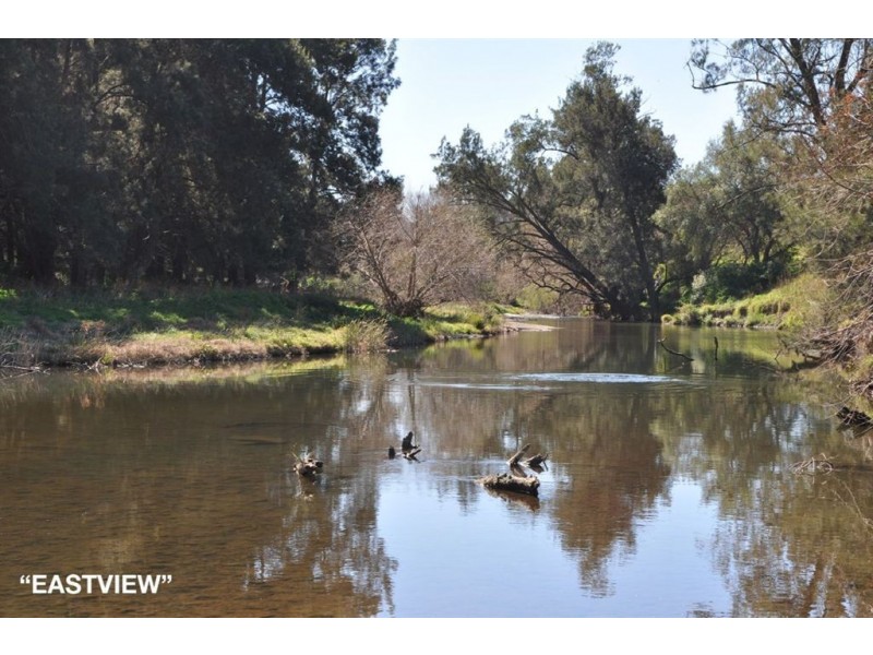 . Hunter River Property Aggregation, Rouchel Rd, Aberdeen NSW 2336