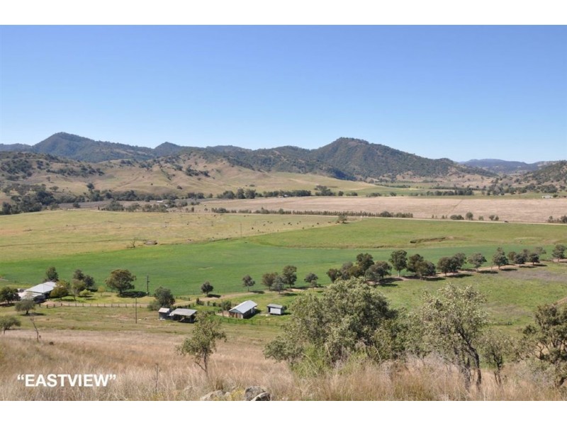 . Hunter River Property Aggregation, Rouchel Rd, Aberdeen NSW 2336