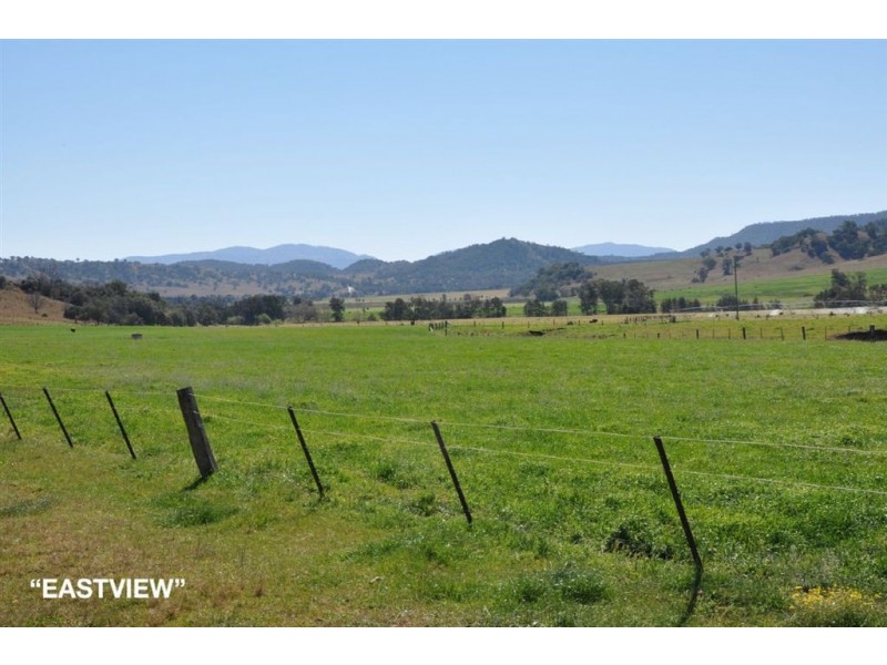 . Hunter River Property Aggregation, Rouchel Rd, Aberdeen NSW 2336