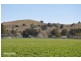 . “Hilltop”, Rouchel Rd, Aberdeen NSW 2336
