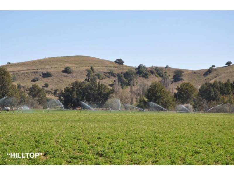 . “Hilltop”, Rouchel Rd, Aberdeen NSW 2336