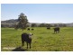 . “Riverside”, Rouchel Rd, Aberdeen NSW 2336