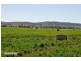 . “Riverside”, Rouchel Rd, Aberdeen NSW 2336