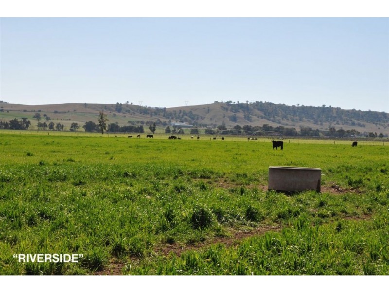 . “Riverside”, Rouchel Rd, Aberdeen NSW 2336