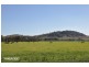. “Riverside”, Rouchel Rd, Aberdeen NSW 2336