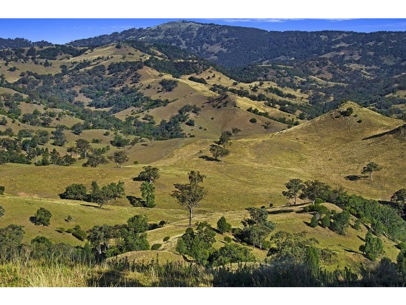 171 Chilcotts Creek Rd, “Highlands”, Willow Tree NSW 2339