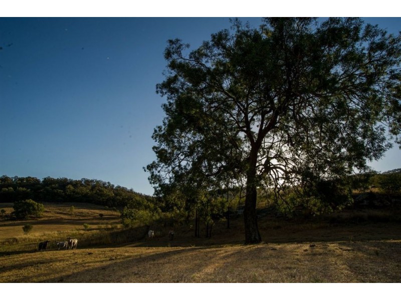 182 Winters Rd, “Peakhill”, Scone NSW 2337