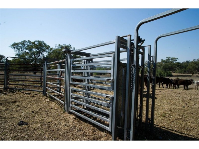 182 Winters Rd, “Peakhill”, Scone NSW 2337