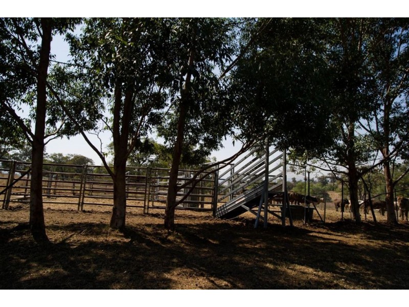 182 Winters Rd, “Peakhill”, Scone NSW 2337