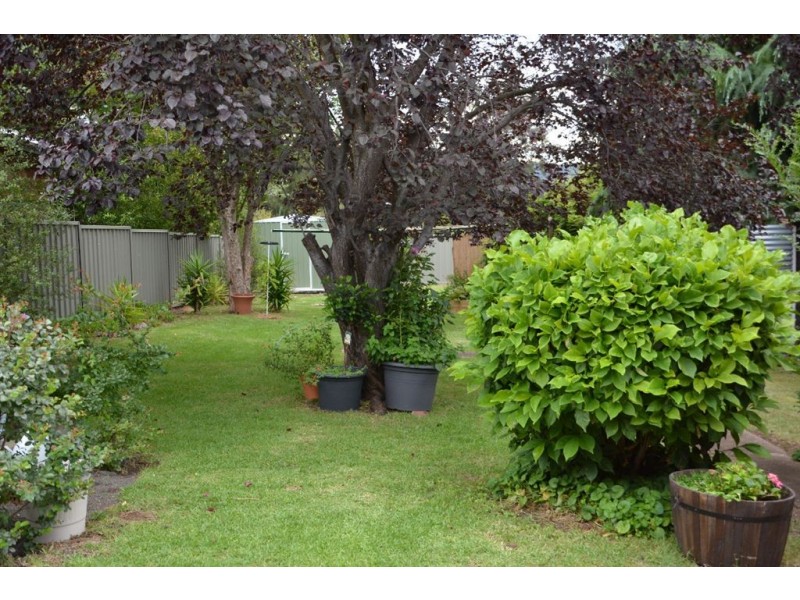 17 Adelaide St, Murrurundi NSW 2338