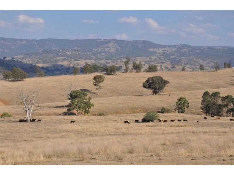 6781 Hunter Rd, “Fairlight”, Ellerston NSW 2337