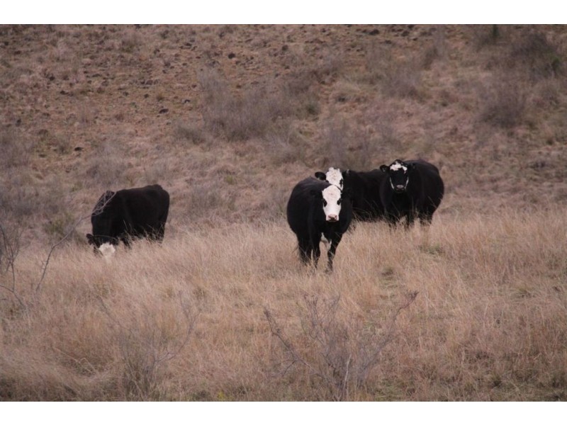 6781 Hunter Rd, “Fairlight”, Ellerston NSW 2337