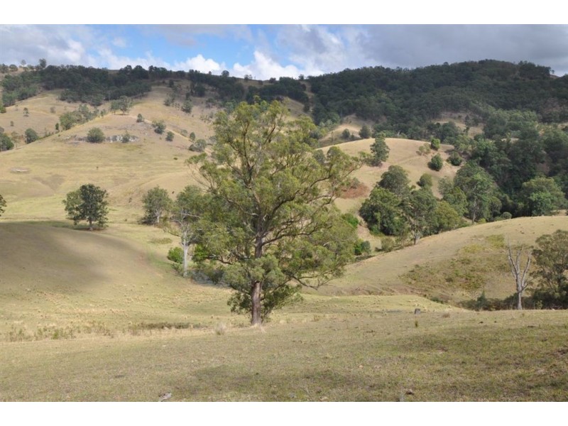 . Flaggy Gully, Goorangoola Creek Rd, Singleton NSW 2330