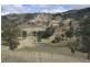. Flaggy Gully, Goorangoola Creek Rd, Singleton NSW 2330