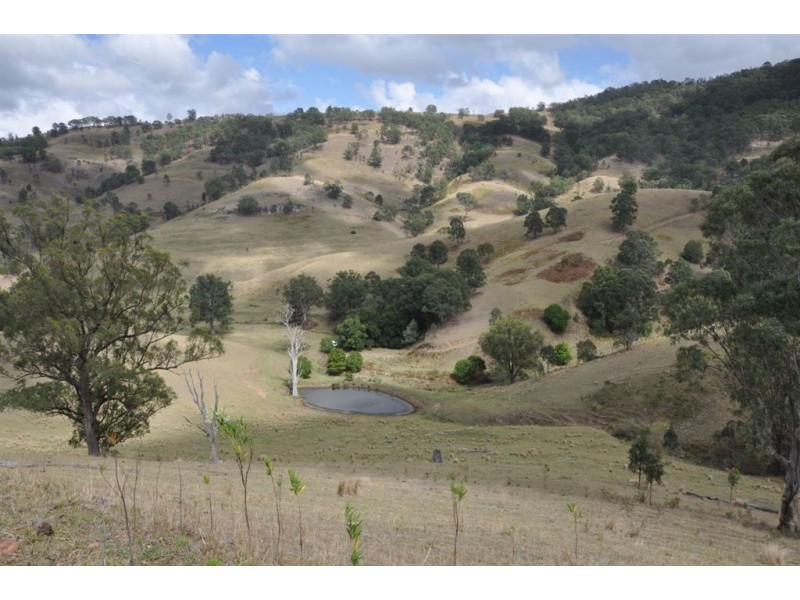 . Flaggy Gully, Goorangoola Creek Rd, Singleton NSW 2330