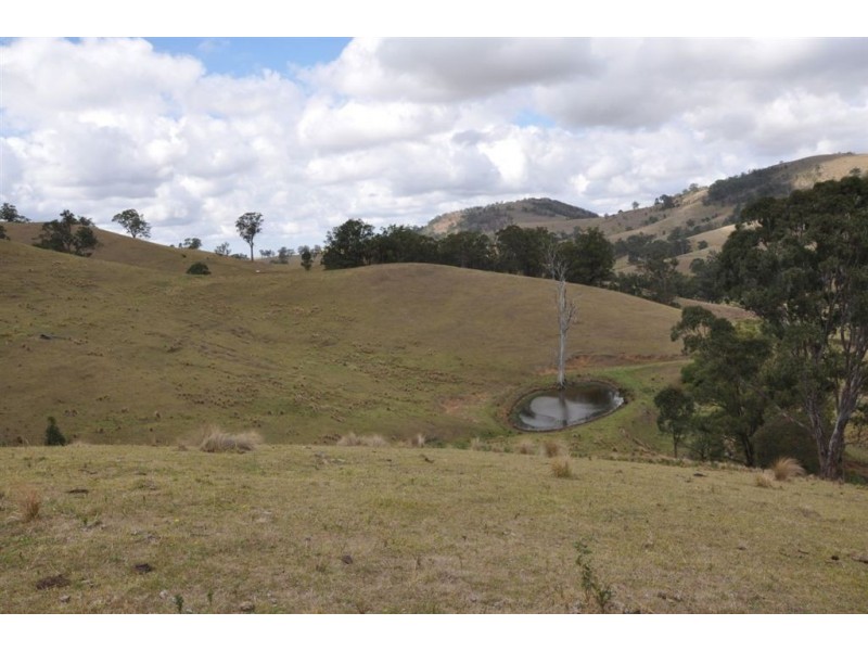 . Flaggy Gully, Goorangoola Creek Rd, Singleton NSW 2330