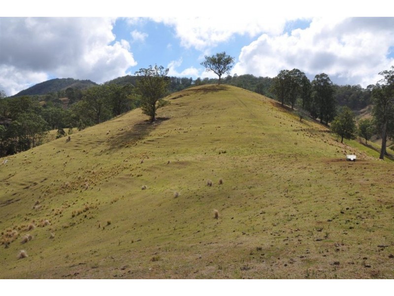 . Flaggy Gully, Goorangoola Creek Rd, Singleton NSW 2330