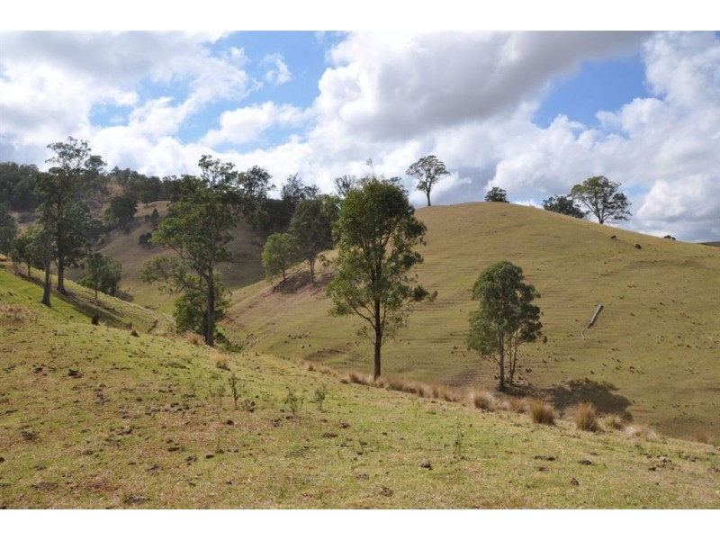 . Flaggy Gully, Goorangoola Creek Rd, Singleton NSW 2330