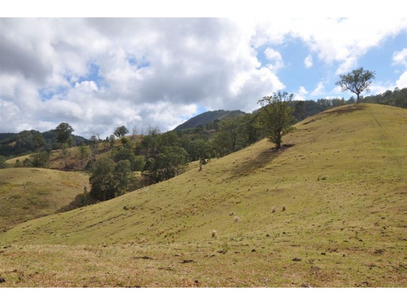 . Flaggy Gully, Goorangoola Creek Rd, Singleton NSW 2330