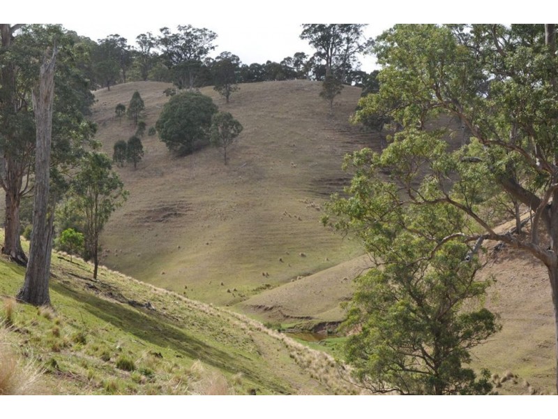 . Flaggy Gully, Goorangoola Creek Rd, Singleton NSW 2330