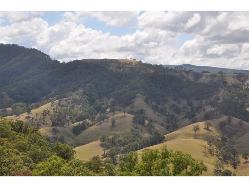 . Flaggy Gully, Goorangoola Creek Rd, Singleton NSW 2330