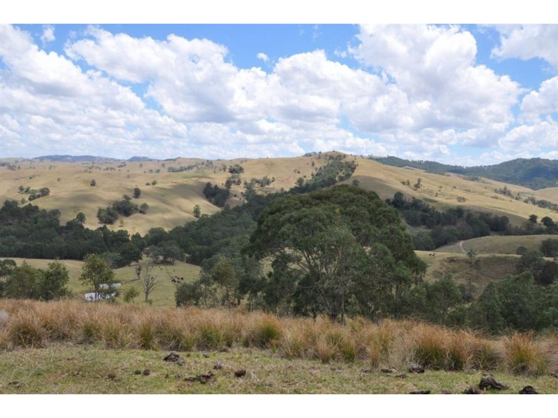 Lot 299A Bowmans Creek, Singleton NSW 2330