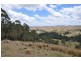 Lot 299A Bowmans Creek, Singleton NSW 2330