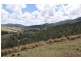 Lot 299A Bowmans Creek, Singleton NSW 2330