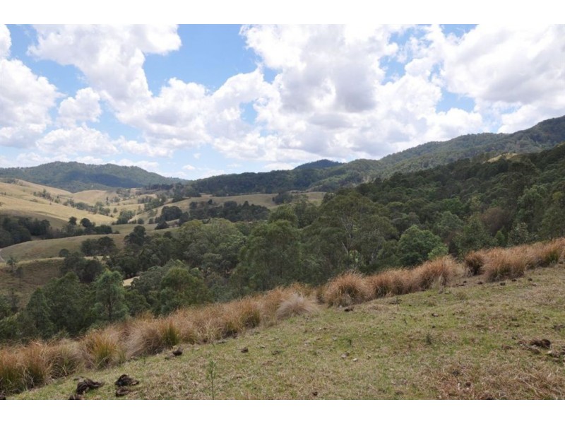 Lot 299A Bowmans Creek, Singleton NSW 2330