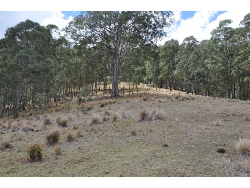 Lot 299A Bowmans Creek, Singleton NSW 2330