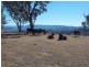. Tomalla Rd, “Mountain Paddock”, Ellerston NSW 2337