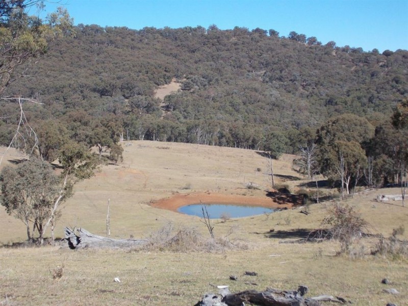 . Tomalla Rd, “Mountain Paddock”, Ellerston NSW 2337